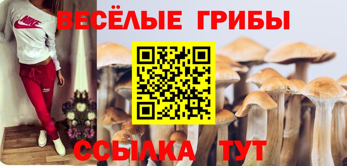 Россошь  как найти наркотики  Вход с VPN  Псилоцибиновые грибы мухоморы 